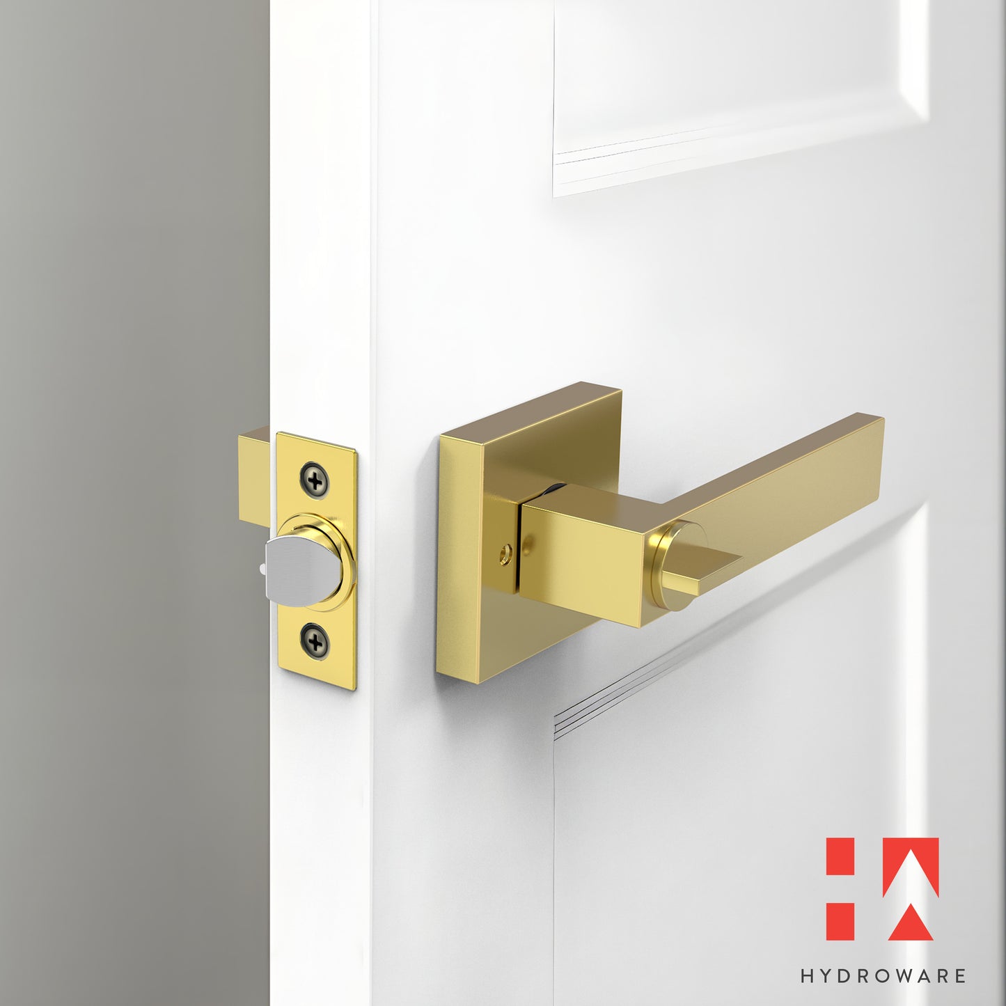 Square Door Lever with Key (Keyed Entry)