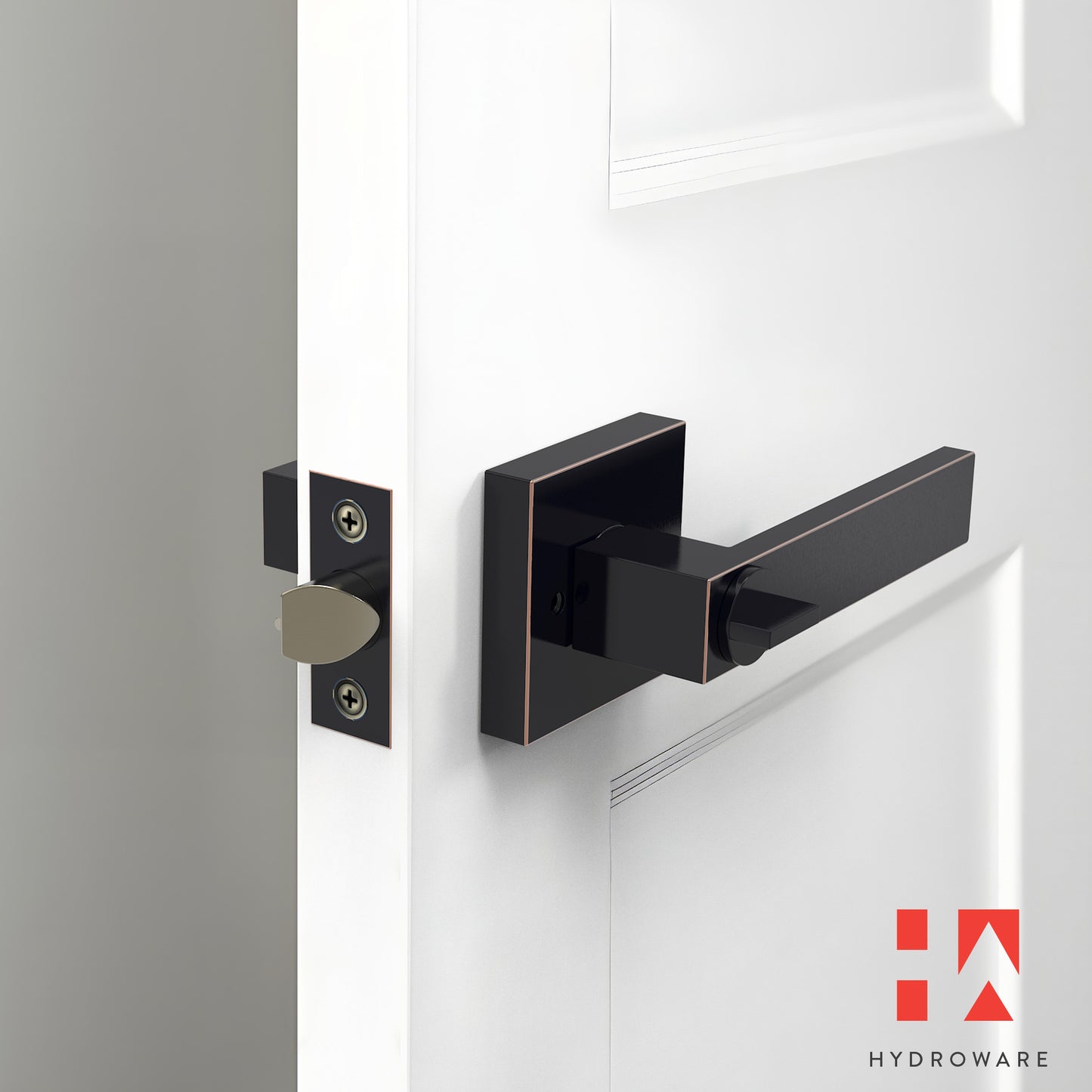 Square Door Lever with Key (Keyed Entry)